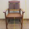 Clyde Arm Chair